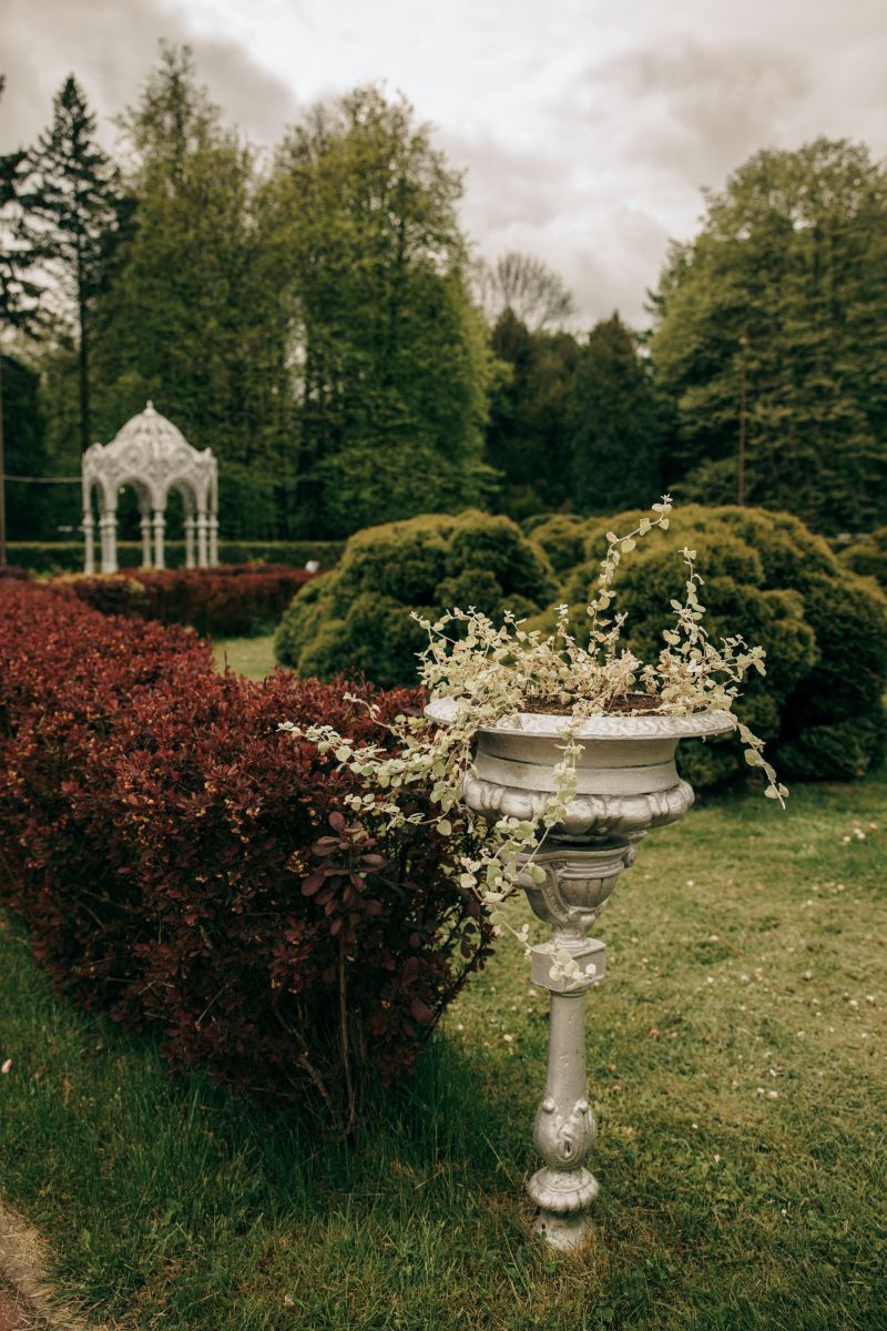 A Garden with a small plantpot