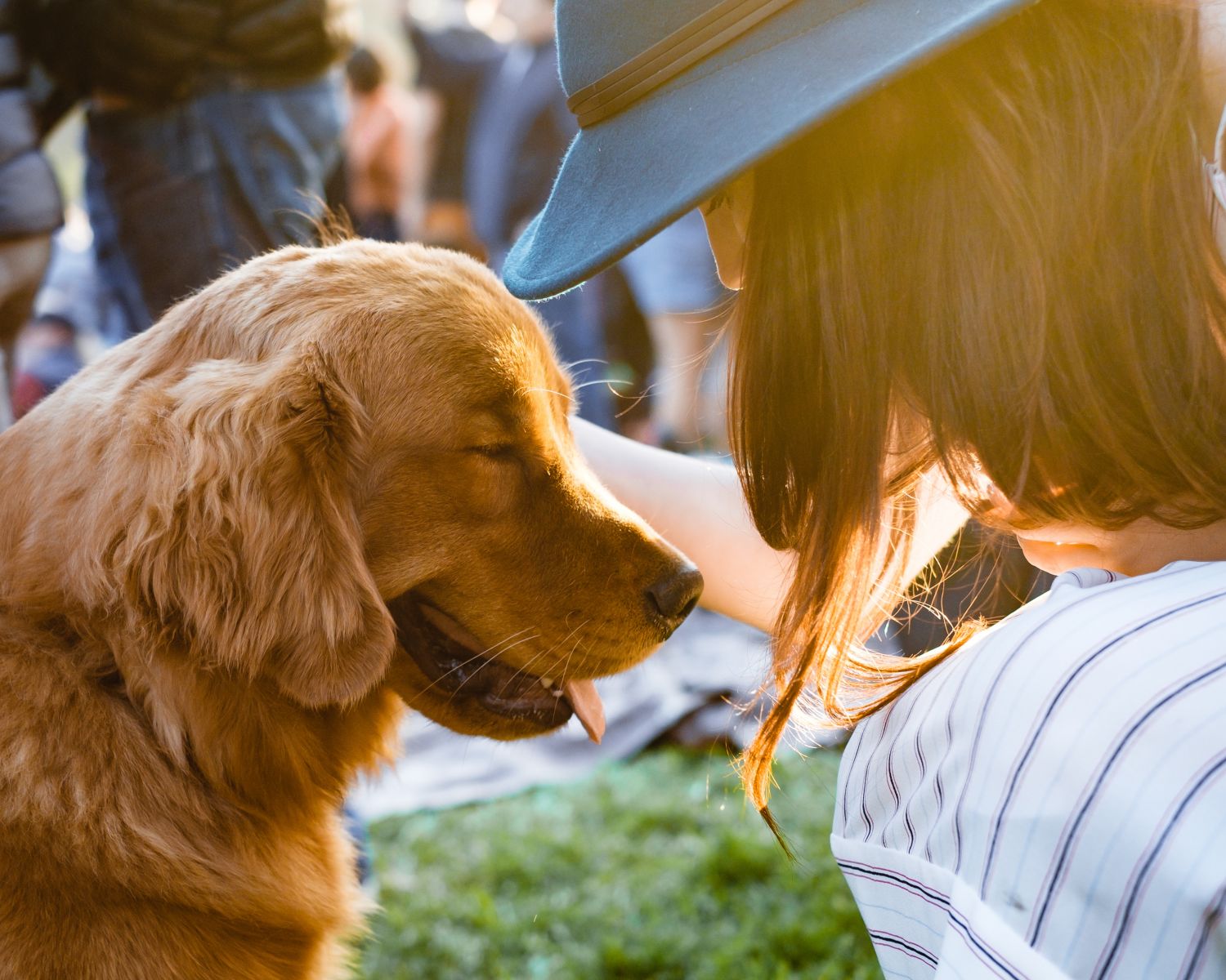 Vrouw past op een hond