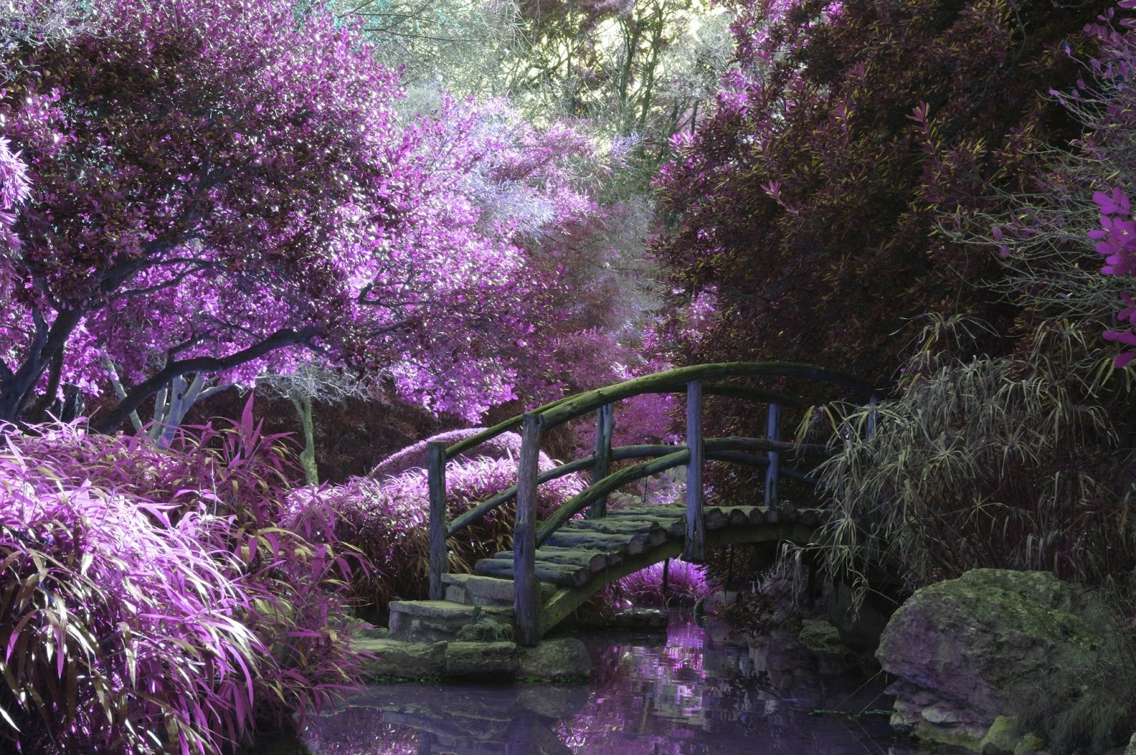 MyGlobalFlowers