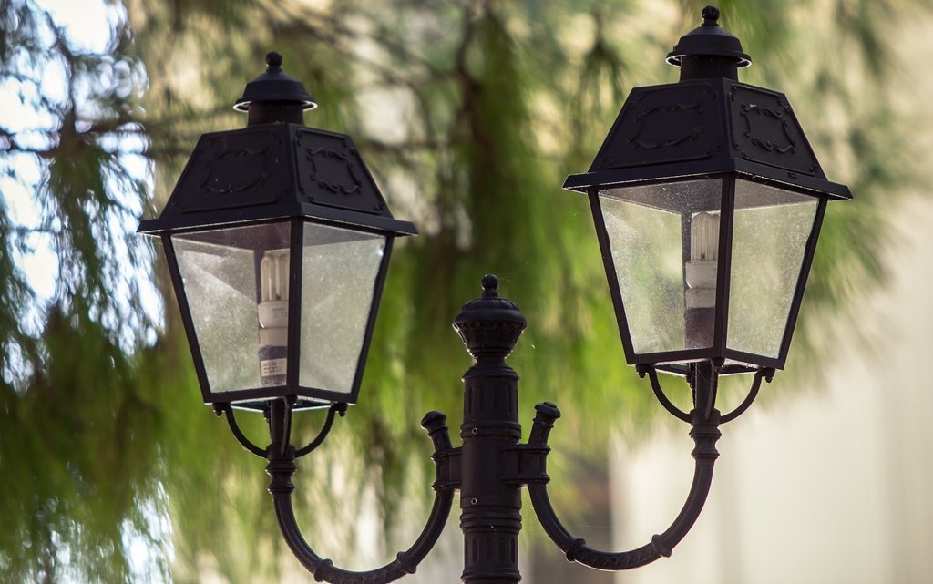 Intratuin Deventer Tuinverlichting Tuincentrum Overzicht