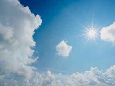 5 leuke klussen voor de zomer (Tuinnieuws)