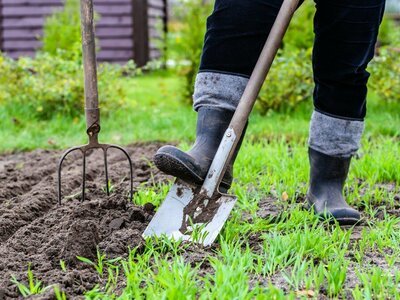 Alles wat je nodig hebt - online tuincentra