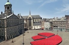 Zaterdag 21 januari: gratis tulpen op de Dam in Amsterdam (Tuinnieuws)