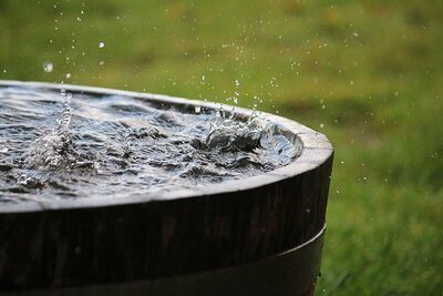 5 tips om water te besparen in je tuin (Tuinnieuws)