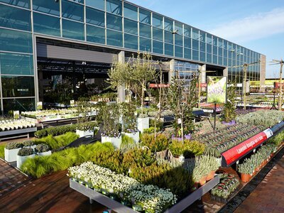Intratuin Maastricht gaat uitbreiden (Tuinnieuws)