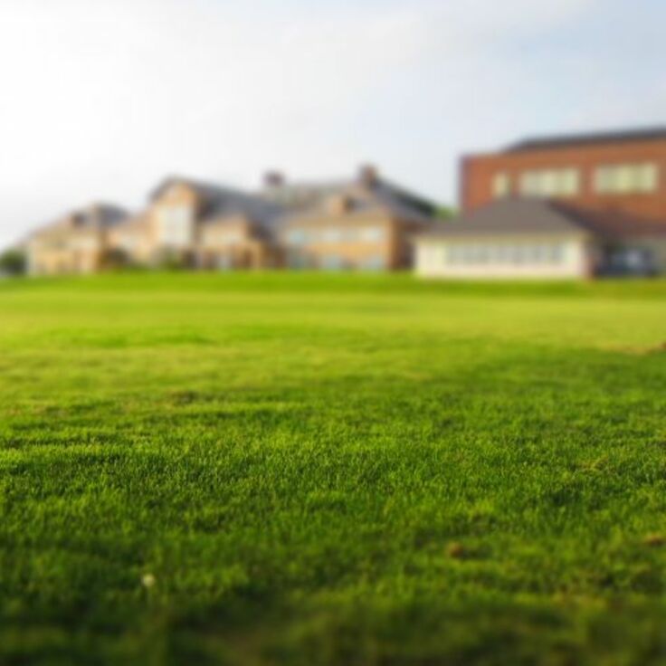 Zo kies je de juiste graszoden (Gazon)