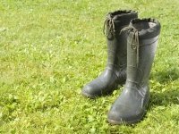 Onderhoud aan uw tuin (Tuinnieuws)