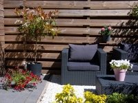 De grote terrasschoonmaak (Tuinnieuws)