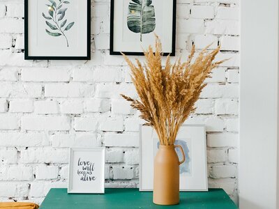 Het najaar is aangebroken: Laat je woning opbloeien (Tuinnieuws)