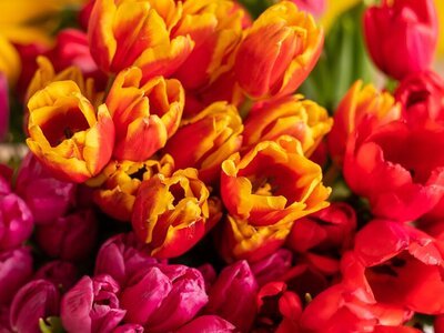 Boeket bloemen bezorgen en bestellen