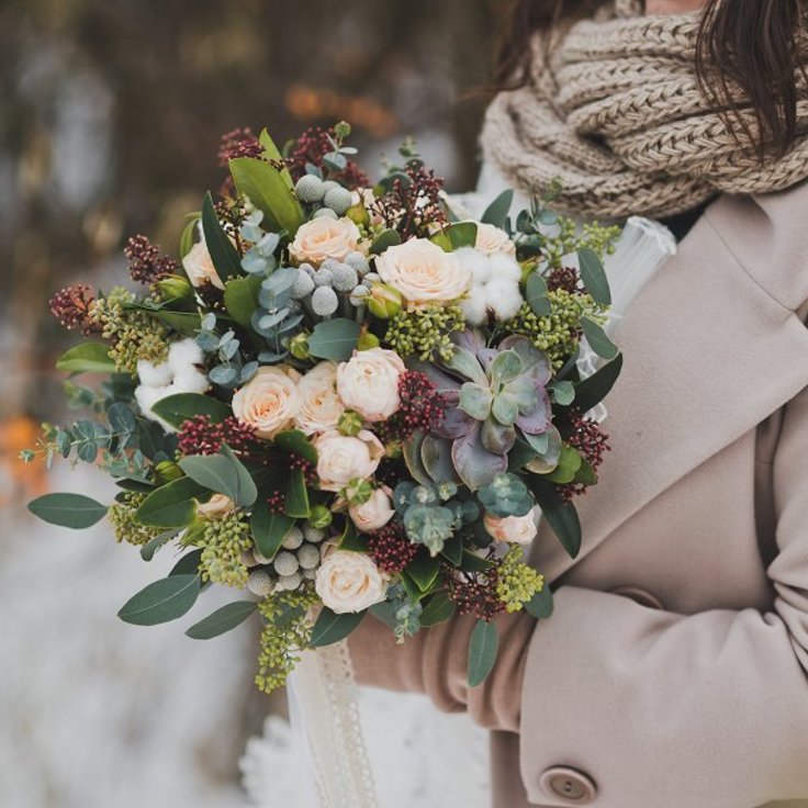 De kracht van bloemen (Kamerplanten)