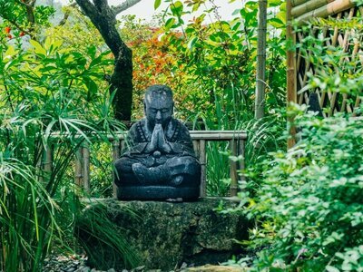 De tuin als tweede huiskamer (Tuinnieuws)
