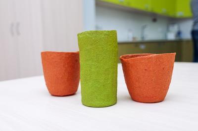 Samara Polytech ontwikkelt eetbaar servies (Tuinnieuws)