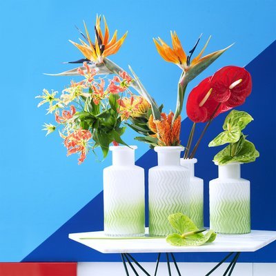 Bloemenagenda september: Exoten (Tuinnieuws)