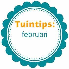 Tuinieren in de maand februari (Tuinieren)