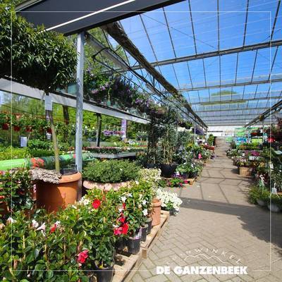 Tuinnieuws: Tuinwinkel De Ganzenbeek wordt verbouwd (Tuinnieuws)