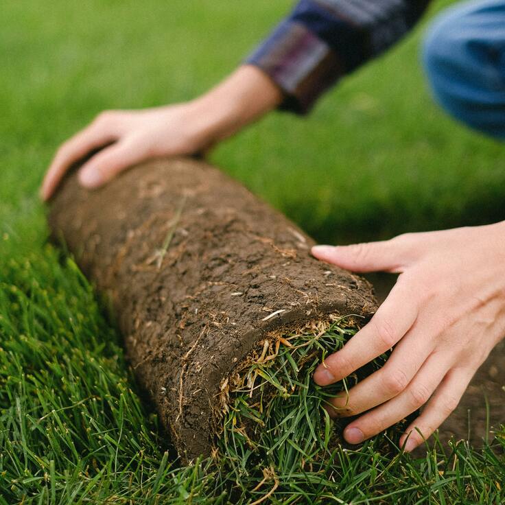 Een nieuw gazon aanleggen: van kale grond naar een strak groen tapijt (Gazon)