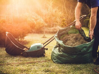 Wanneer het gazon bemesten vóór de winter? (Tuinnieuws)