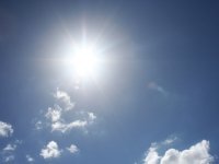 Wellness in de tuin (Tuinnieuws)