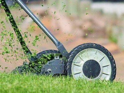 Breng leven in je tuin met praktische tuintips en tuininspiratie (Tuinnieuws)
