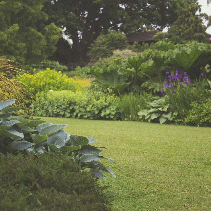 Hoe geef jij jouw tuin een make-over? (Tuinnieuws)