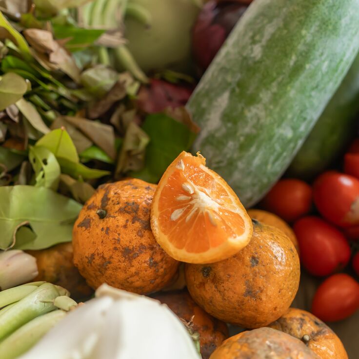 De voor- en nadelen van groenten en fruit uit de supermarkt (Moestuin)