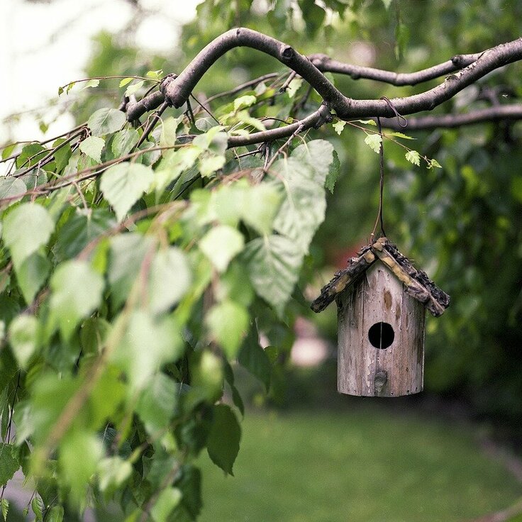 Hoe gietvloeren de uitstraling van je tuinkantoor kunnen verbeteren (Interieurdesign)