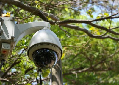 Altijd controle over de gebeurtenissen in de tuin met een IP-camera voor buiten (Tuinnieuws)