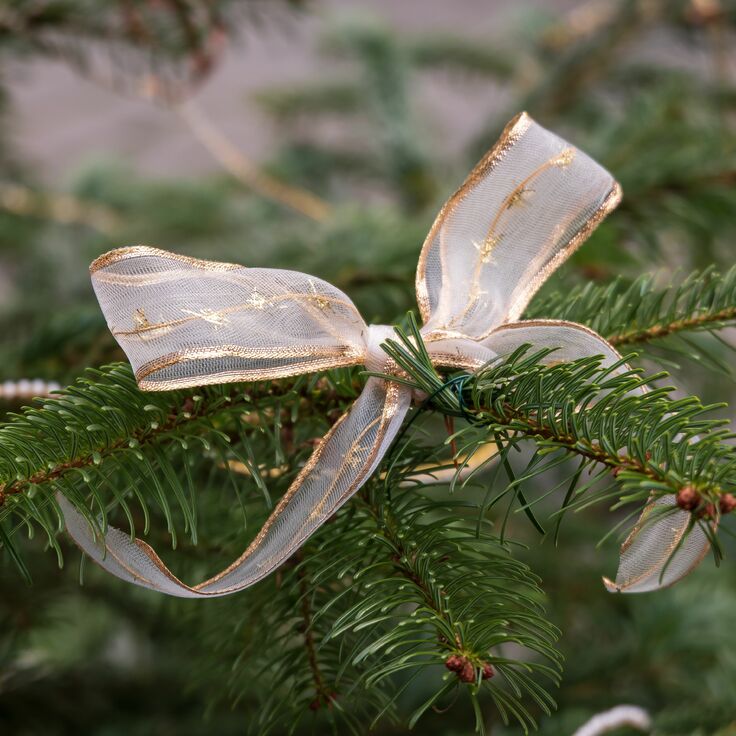 Inspiratie voor Kerstmis in en om het huis (Kerst)