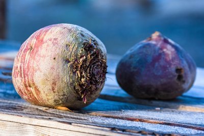 Koolraap uit de moestuin (Moestuin)