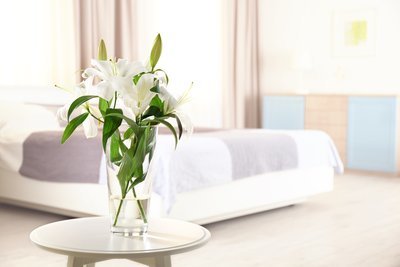 Bloemenagenda juli: De Lelie (Tuinnieuws)