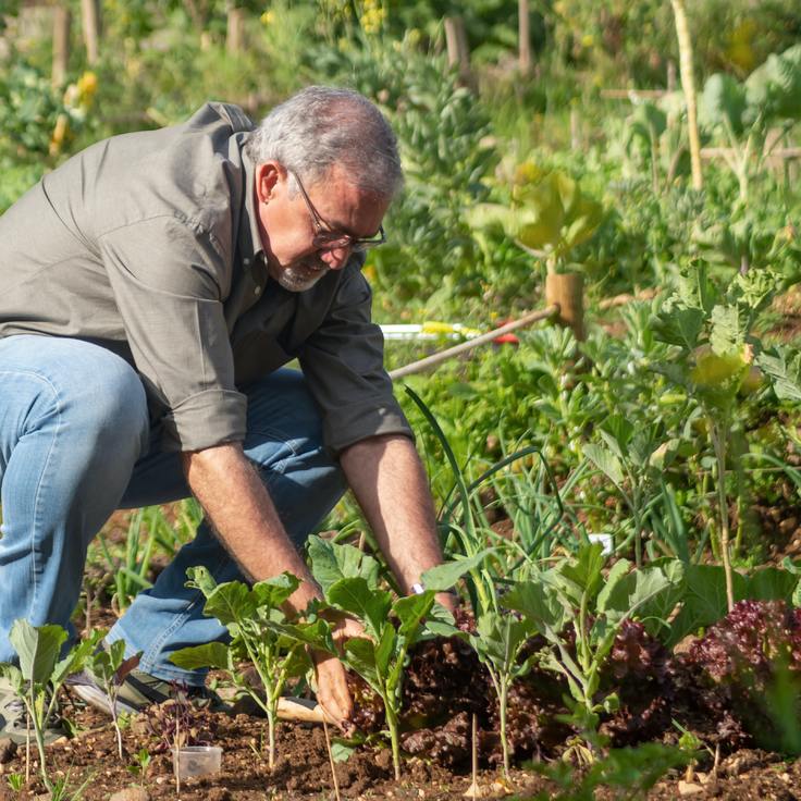 Moestuinbakken maken van steen (Moestuin)