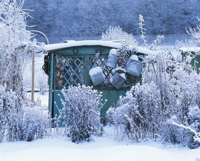 Is jouw moestuin al winterklaar? (Moestuin)