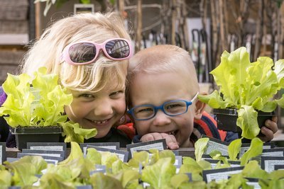 Kleine moestuintjes worden groot! (Moestuin)