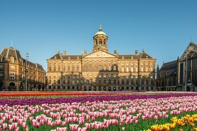 Nationale Tulpendag 2019 (Tuinnieuws)