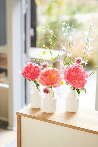 Op de bloemenagenda deze maand: Pioenrozen! (Tuinnieuws)