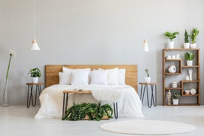 Check je planten deze zomer in bij het VU plantenhotel (Tuinnieuws)