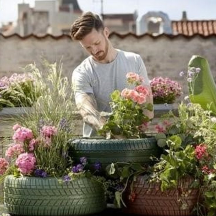 De beste tips voor tuinplanning van de PC