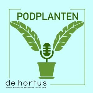 Hortus Botanicus Amsterdam begint podcast (Tuinnieuws)
