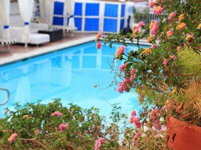 5 tips voor een zwembad in de tuin (Tuinnieuws)