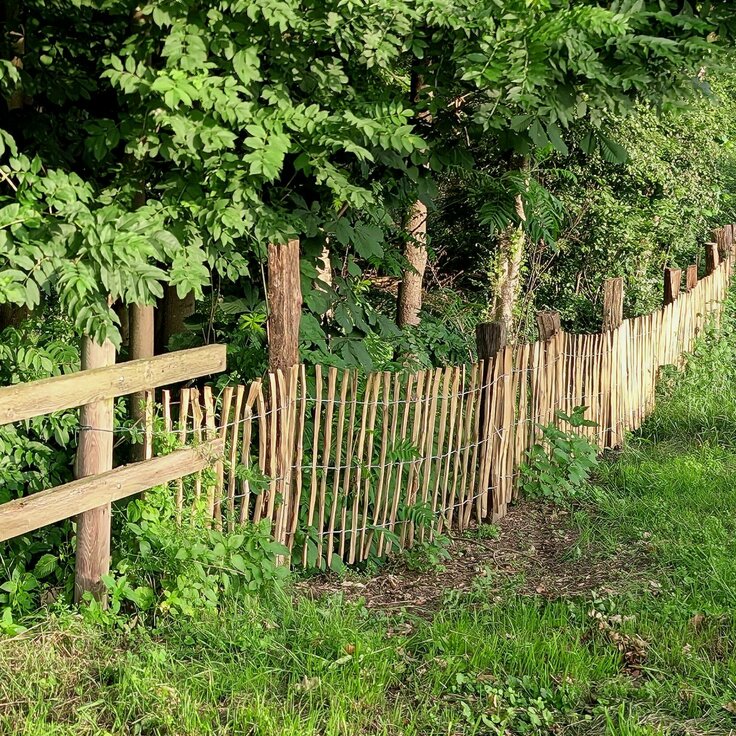 Welk schapenhek past bij jouw dieren? Een keuzegids op hoogte en latafstand voor kippen, konijnen, schapen en honden (Dieren in de tuin)