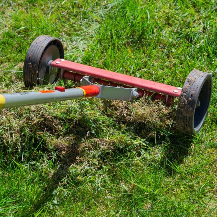 Gras verticuteren: hoe en wanneer? (Gazon)