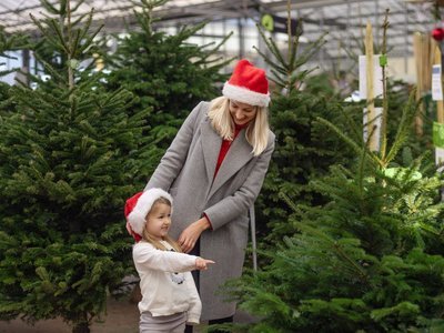 Overzicht van mooiste 2021 tuincentrum kerstshows in Nederland (Kerst)