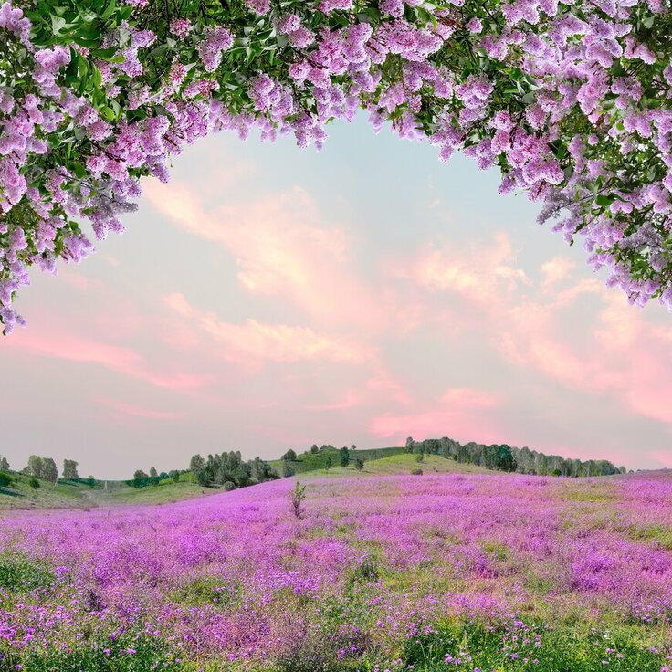 Top gokkasten met bloemen in de hoofdrol (Wilde natuur)