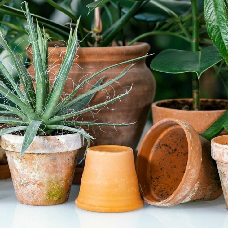 Een Ode aan de Tijdloze Terracotta Bloempot