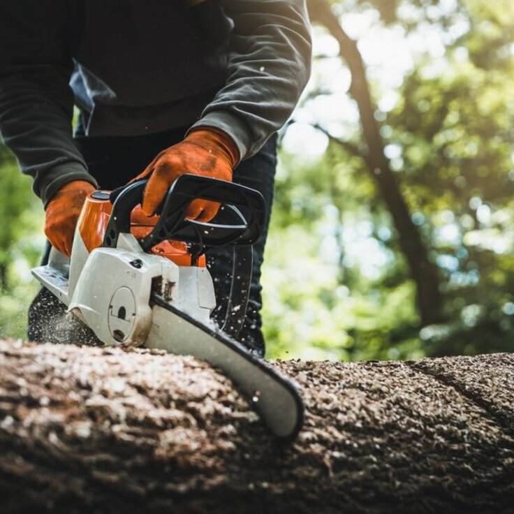 Deze apparaten heeft iedere enthousiaste tuinier nodig! (Gereedschap en apparatuur)