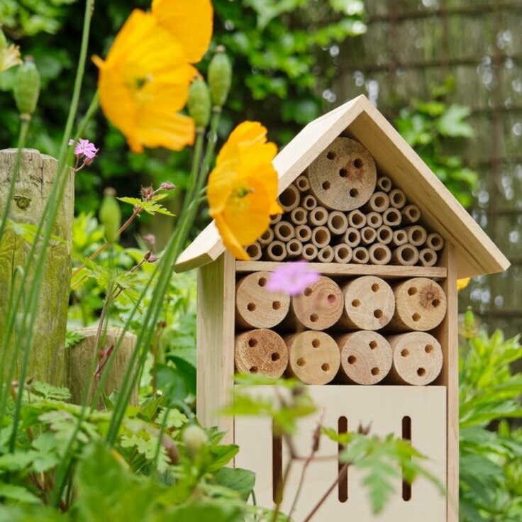 Insectenhotel maken? Zo doe je het (Dieren in de tuin)