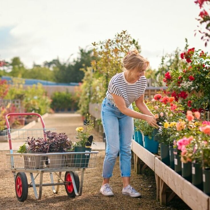 Ontdek de Bloeiende Tuincentra op Hemelvaartsdag 2024