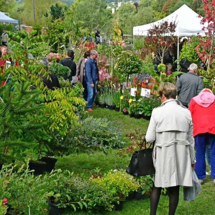 Groene Evenementen voor de maand maart (Tuin- en woonevents)