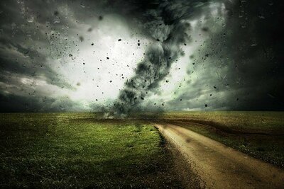 Stormschade in de tuin: vergoeding door de inboedel- en opstalverzekering? (Tuinnieuws)